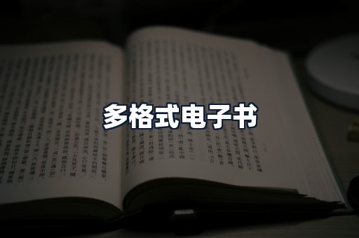 多格式电子书